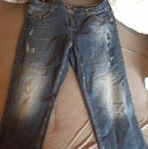 Melissa McCarthy skinny Jean's size 20